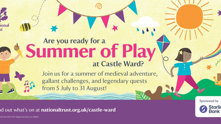 Castle Ward Summer of Play 2025 Banner